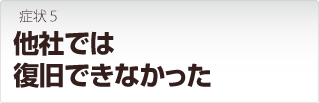 LANDISK 他社では復旧できなかった